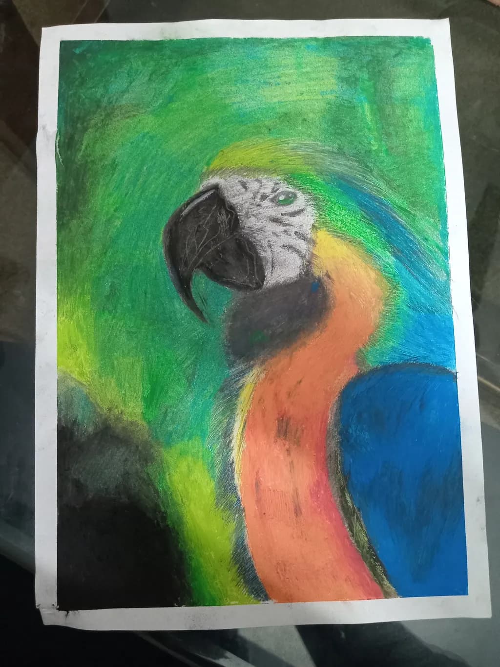 Colorful Parrot Portrait