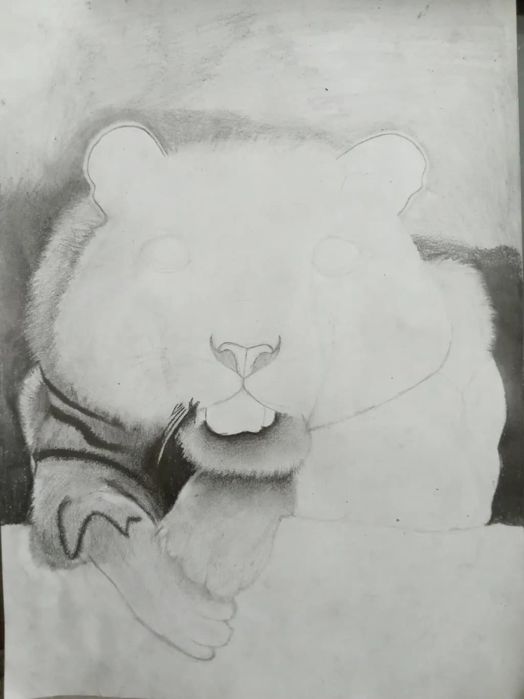 Emerging Tiger