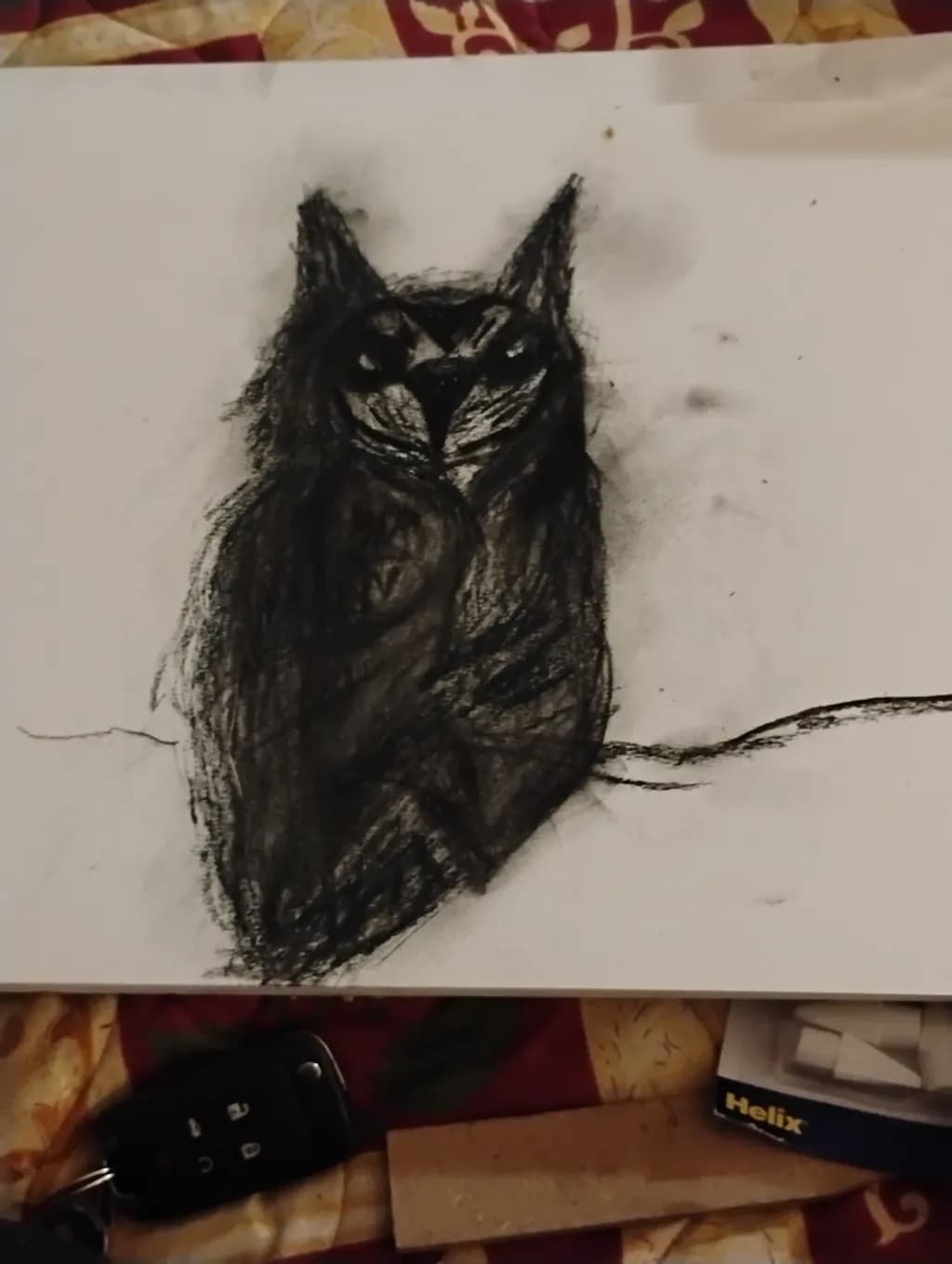 Owl's Gaze