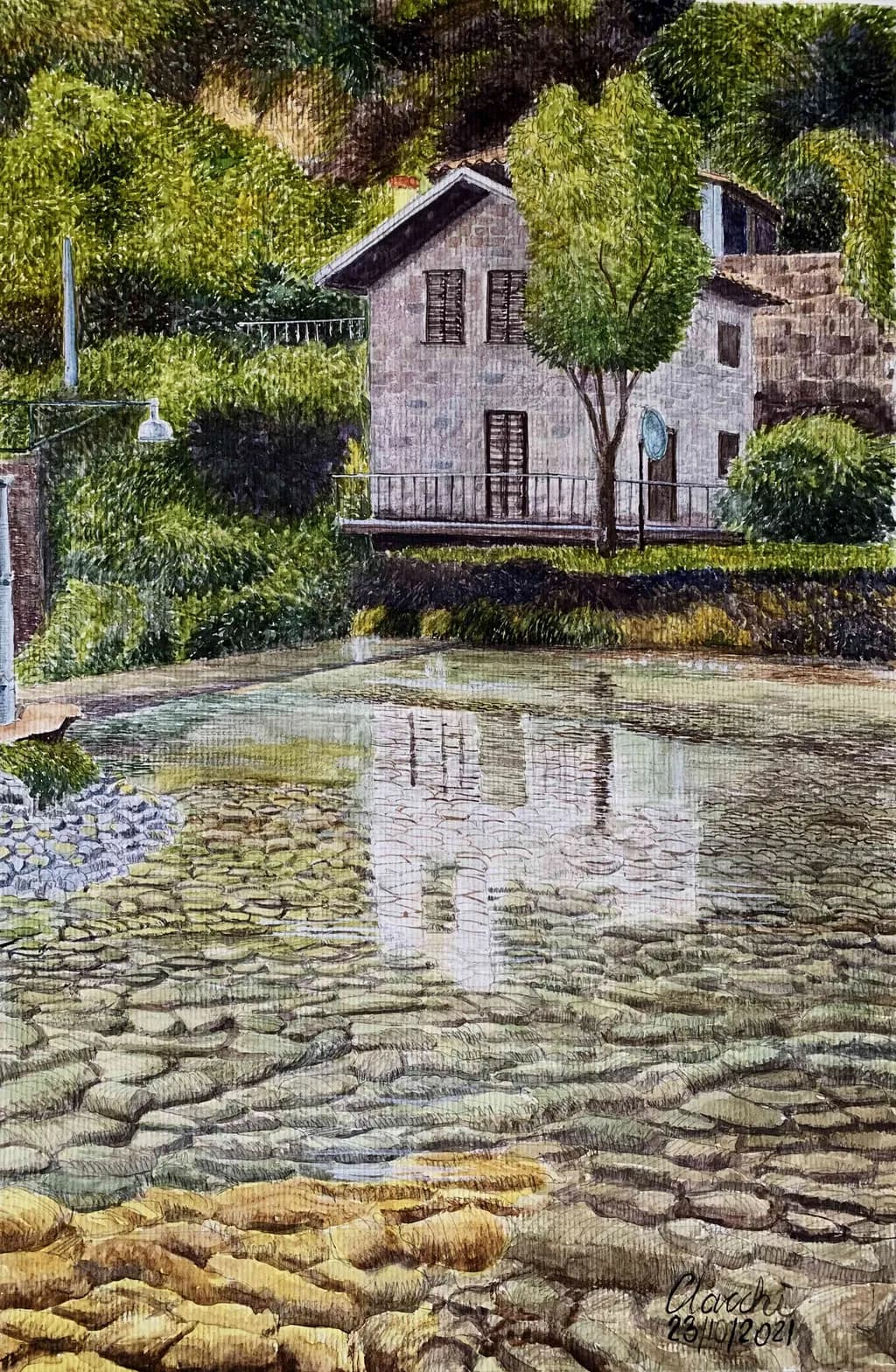 Tranquil Reflections