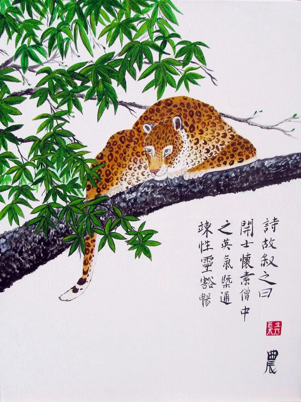 Leopard Resting