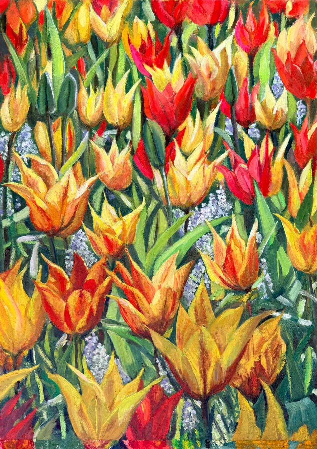 Pointed Tulips