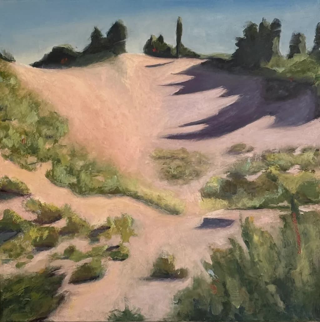 Sunny Sand Dune Shadows