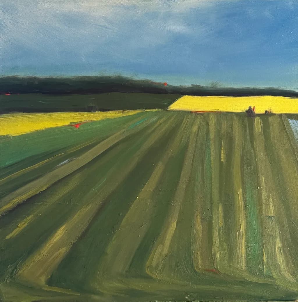 Summer Field View