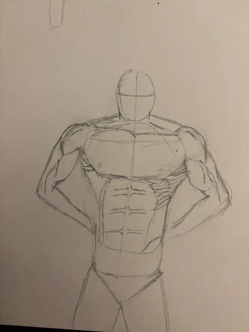 Muscle Study