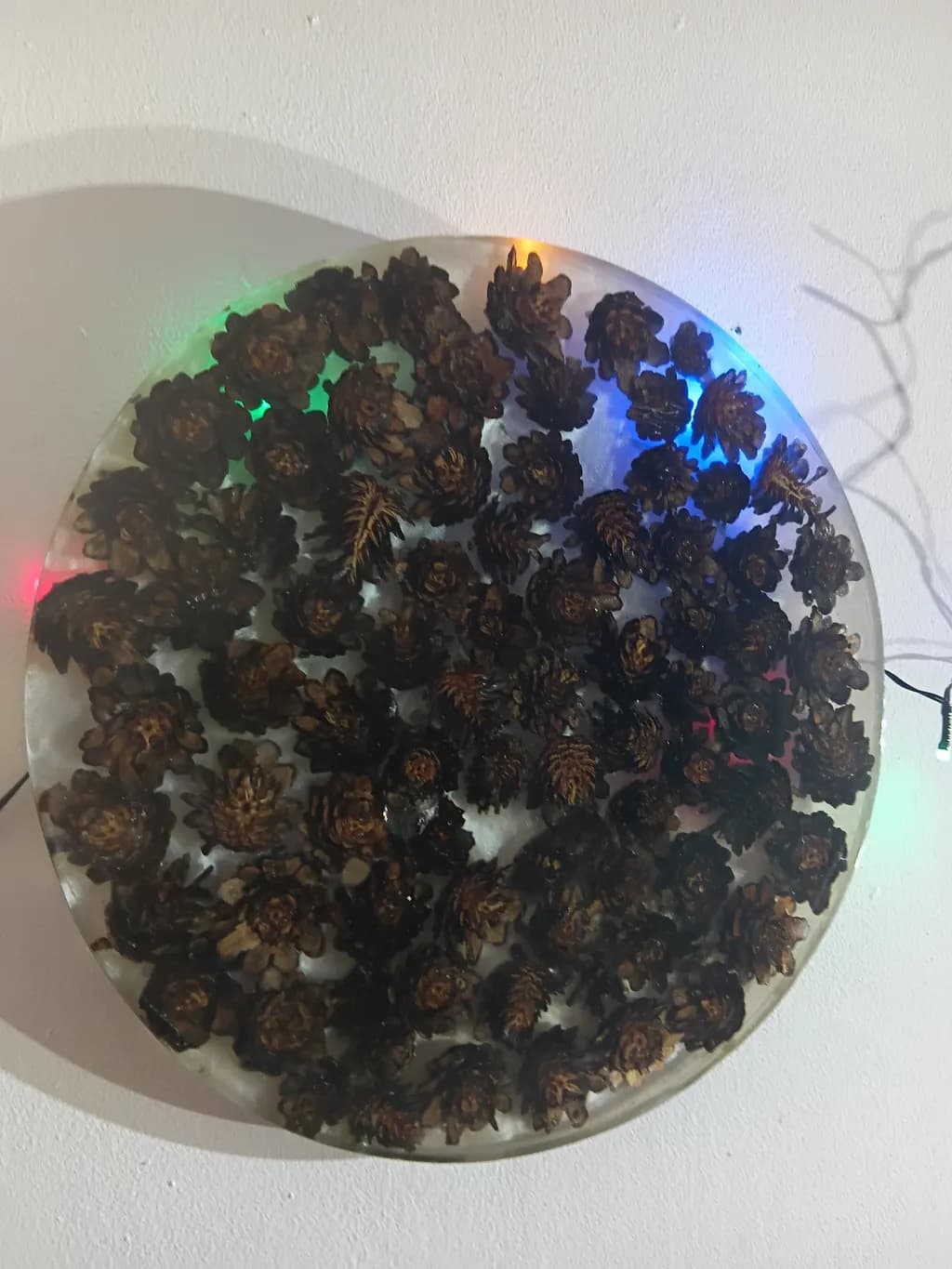 Pinecone Illumination