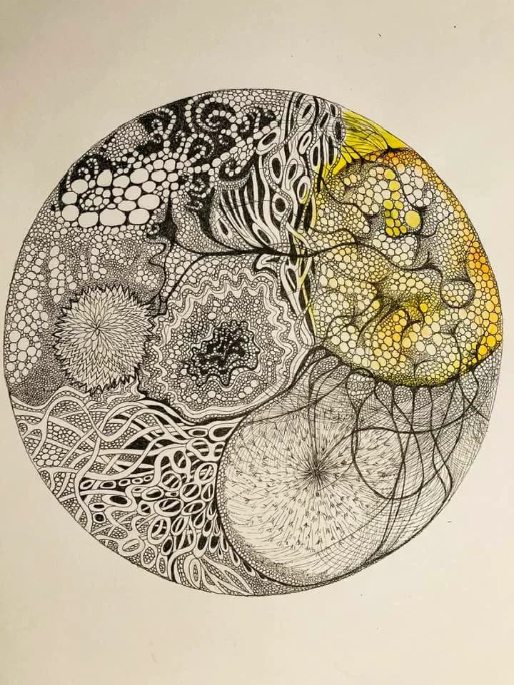 Organic Patterns
