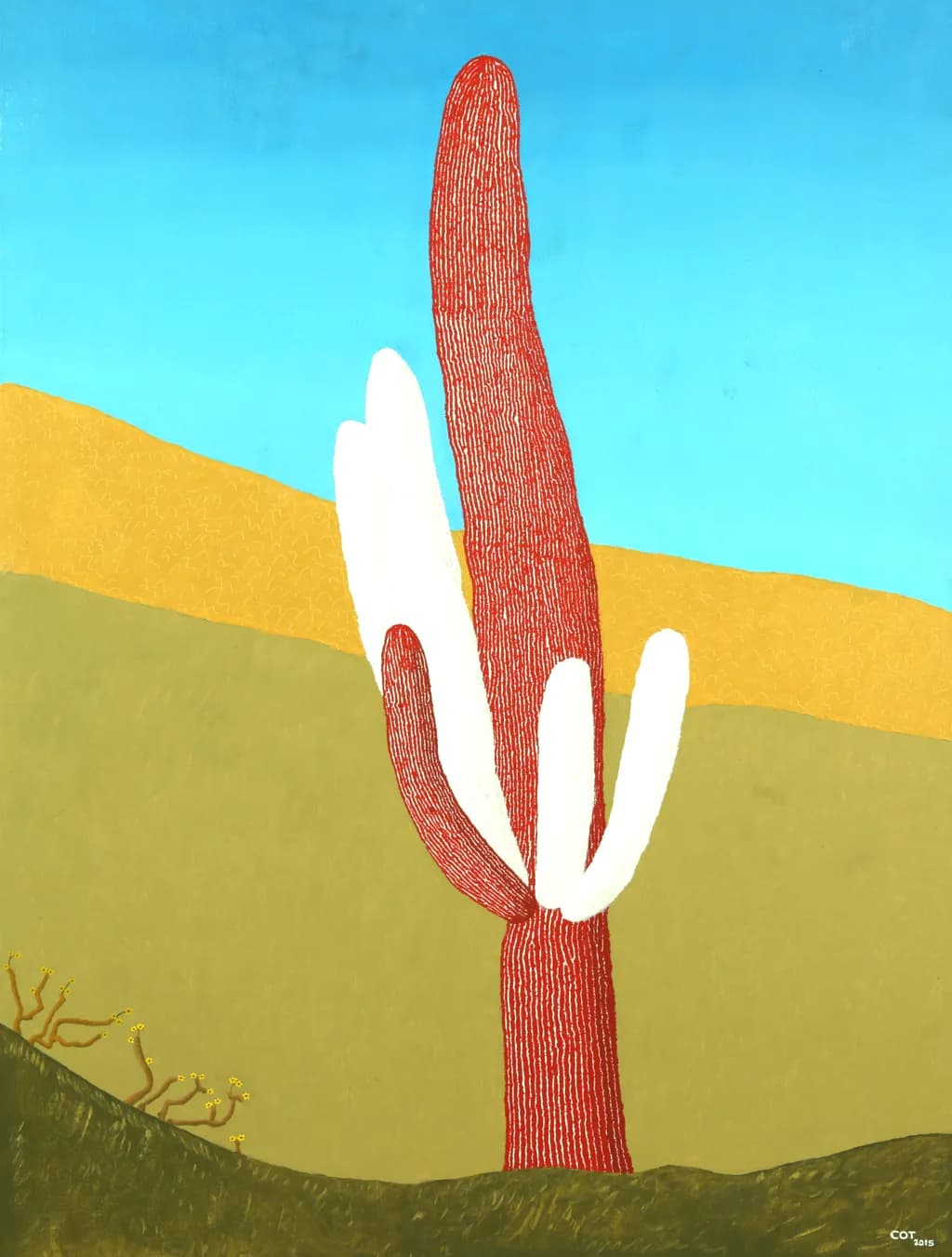 Cactus Contrast
