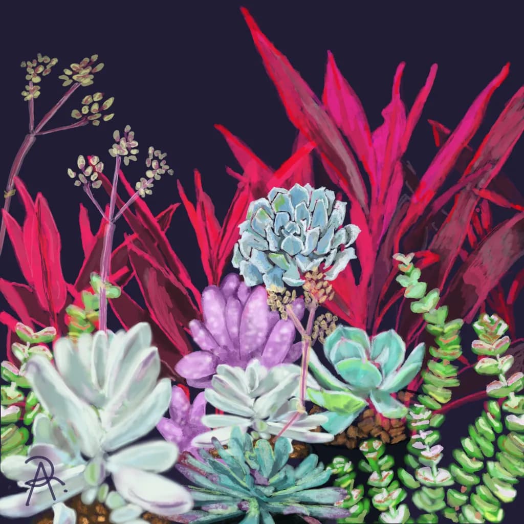 Night Bloom Suculentas