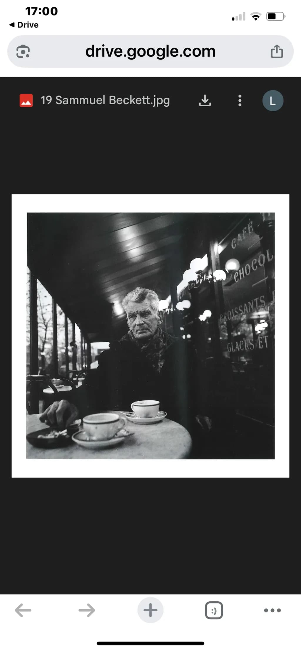 Sammuel Beckett Portrait