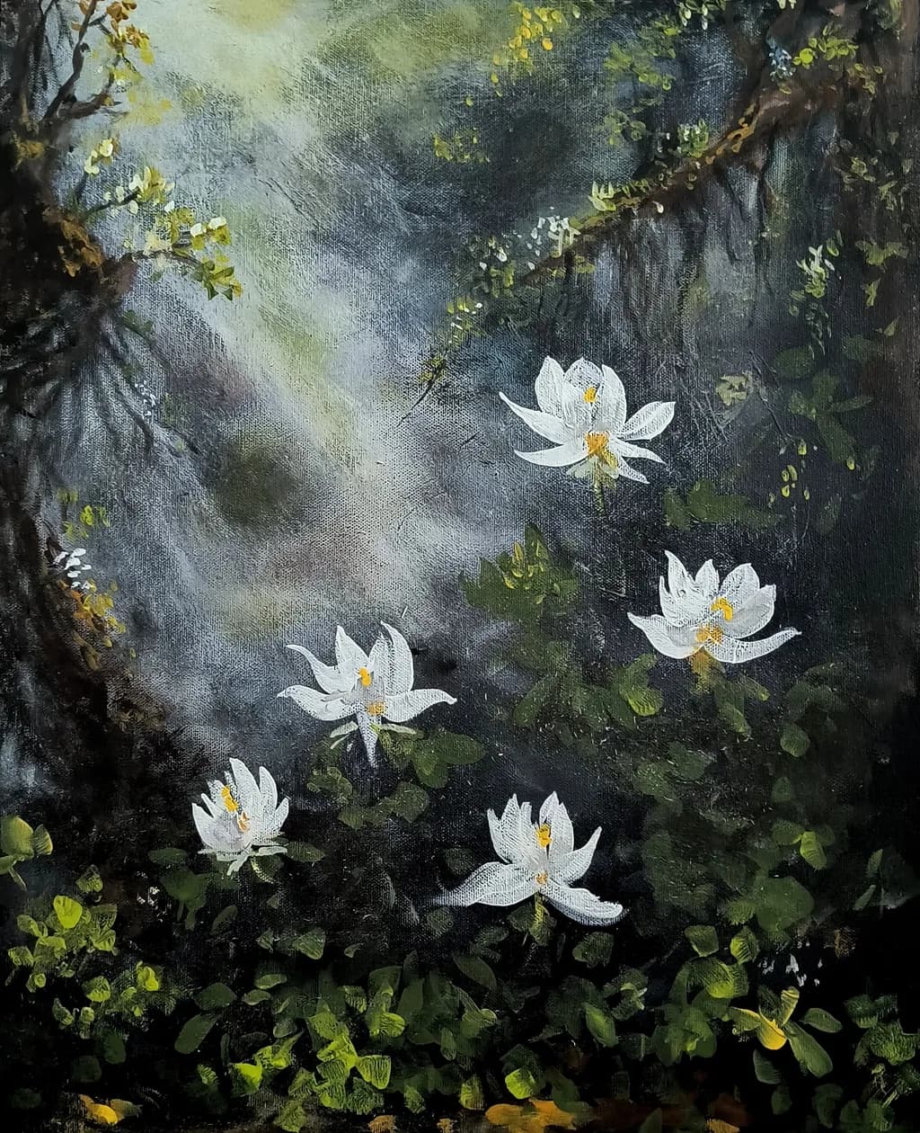 Lotus Serenity