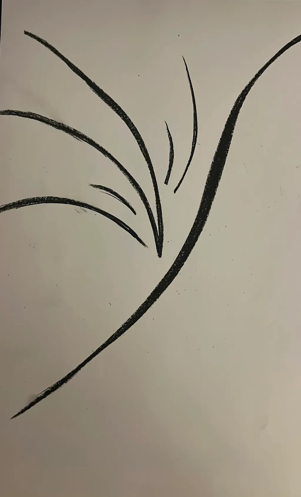 Dynamic Lines