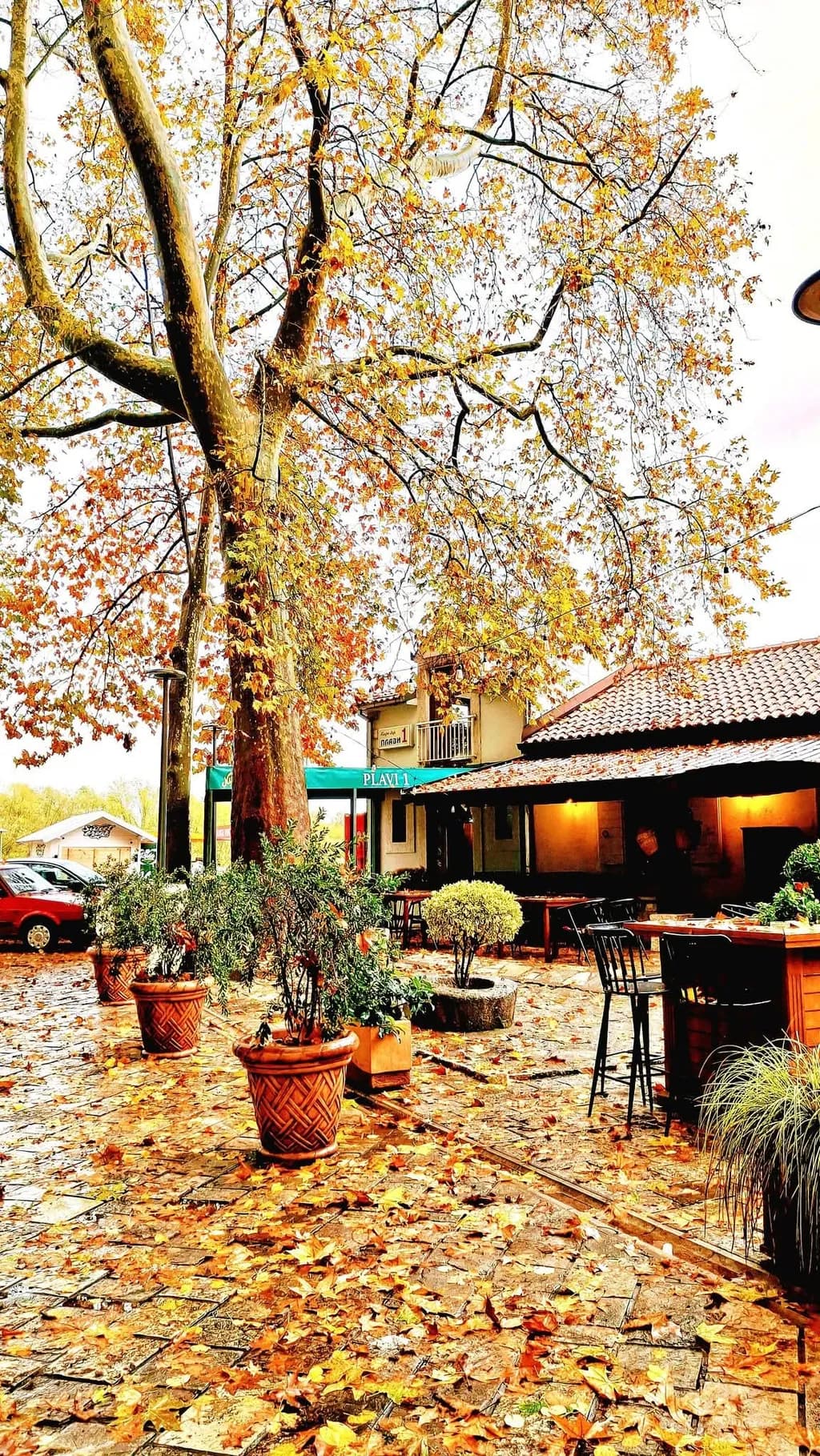 Autumn Retreat