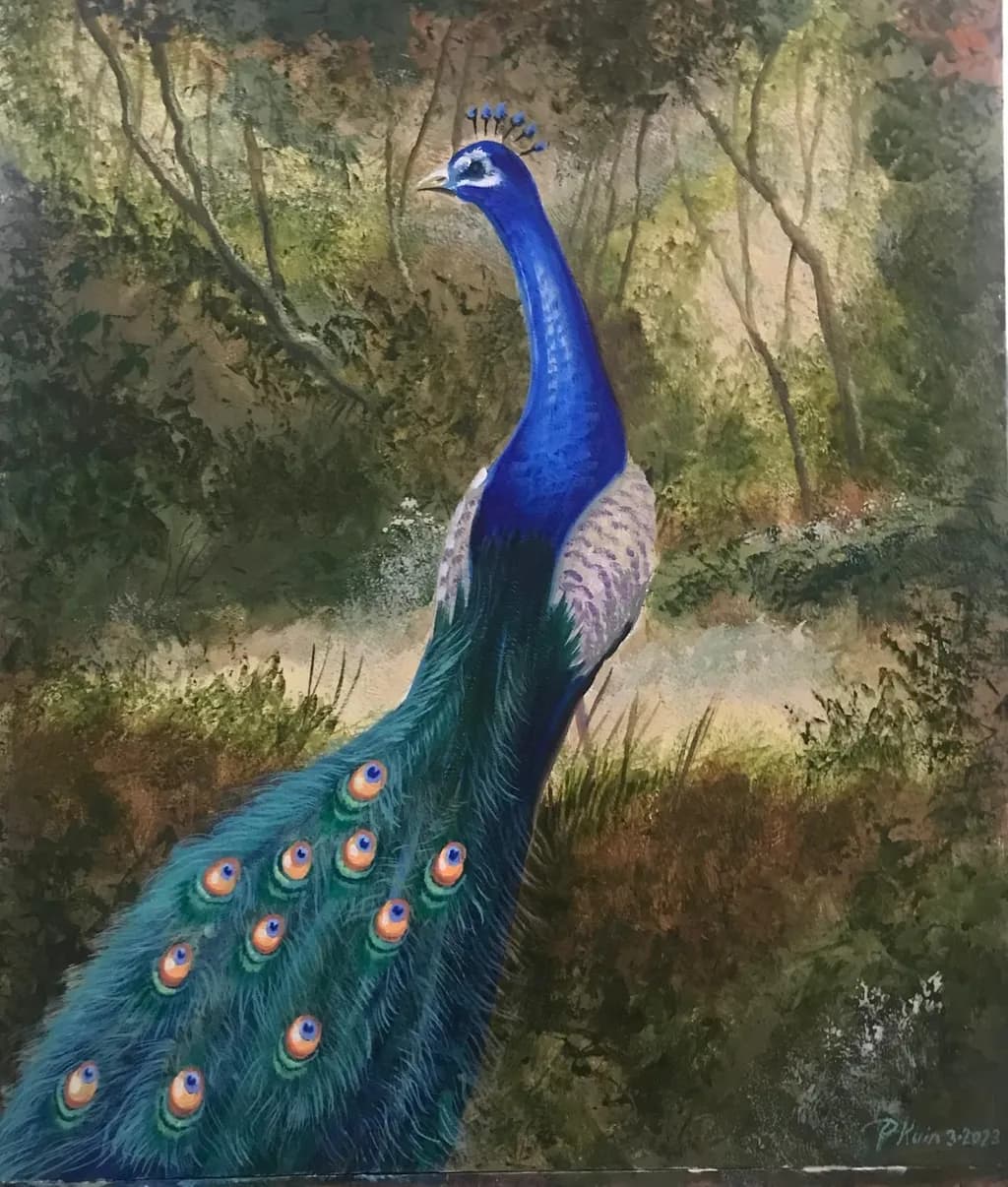 Majestic Peacock