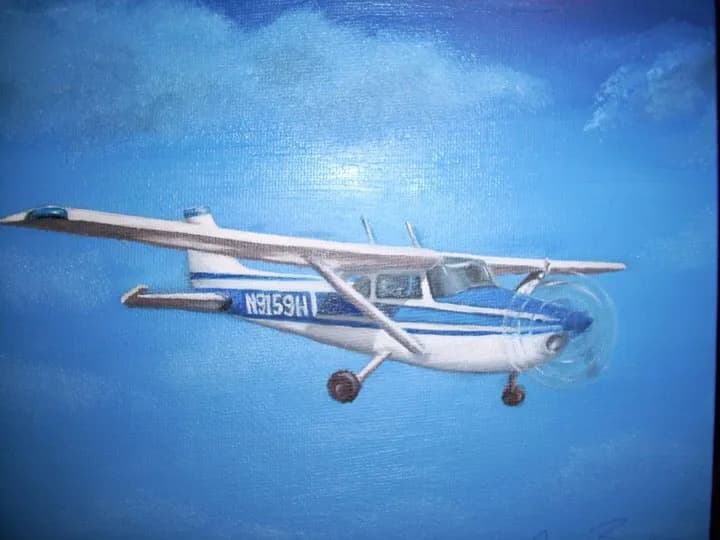 Skyward Flight
