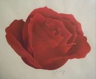 Crimson Bloom