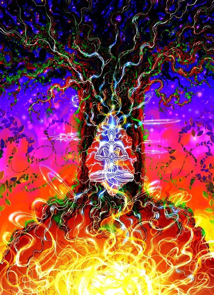 Energized Roots