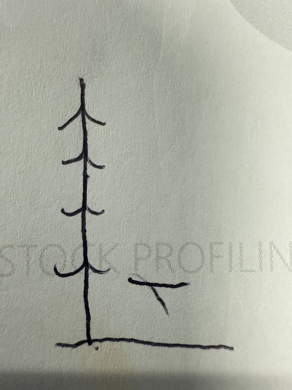 Branching Lines