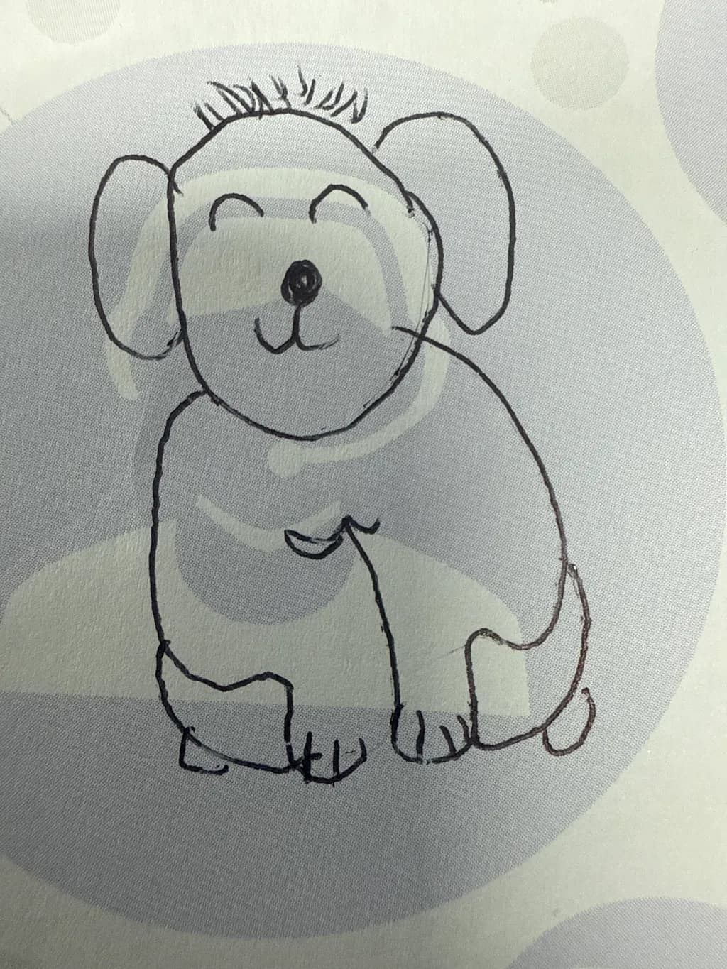 Playful Pup