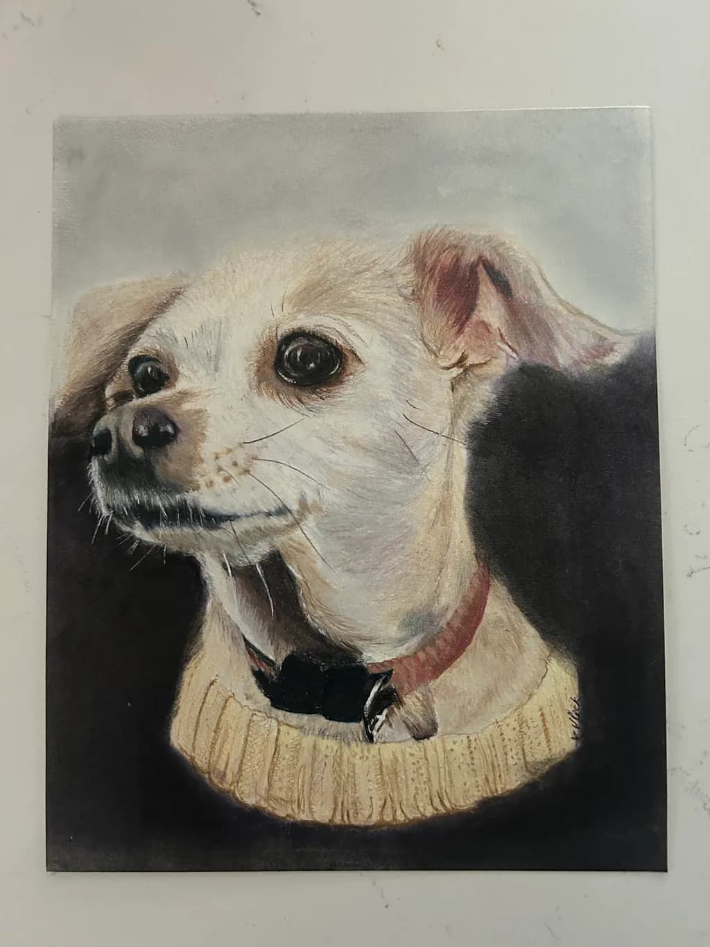Cozy Canine Portrait