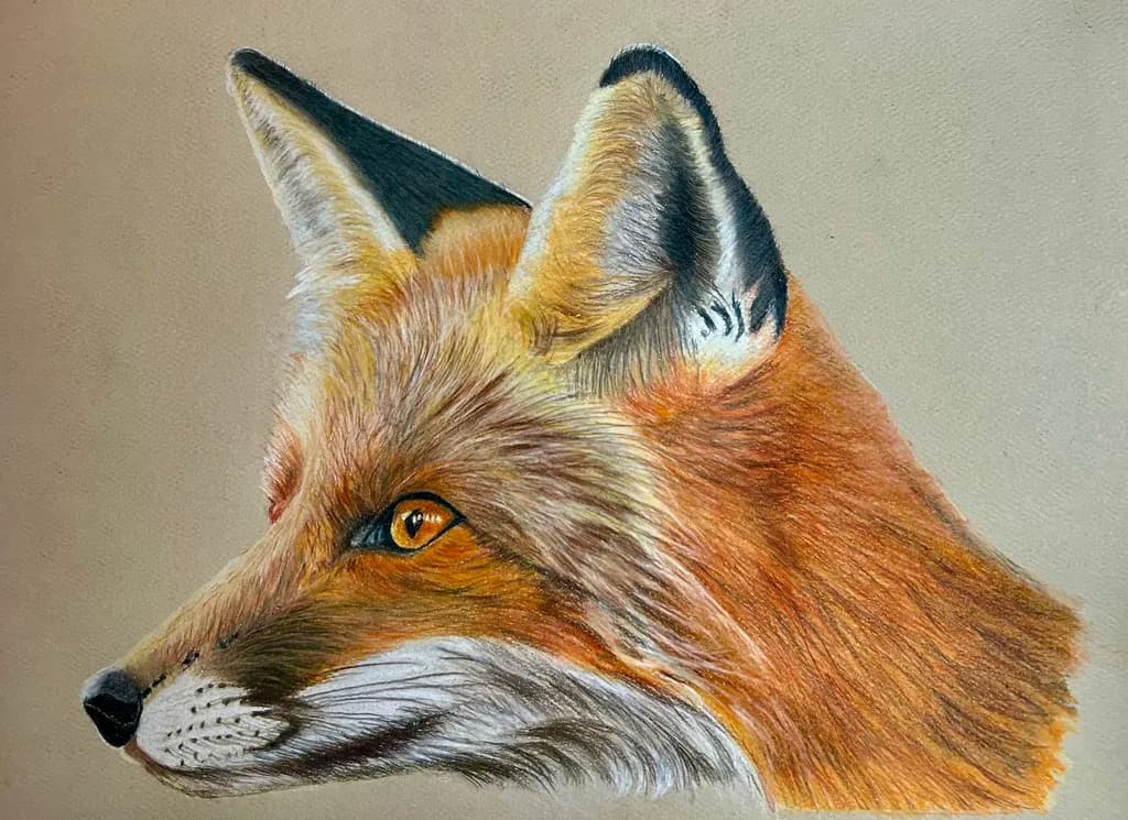 Fox Portrait