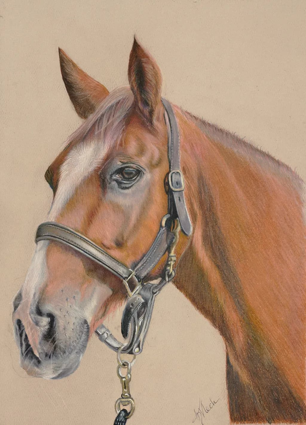 Brandy Portrait