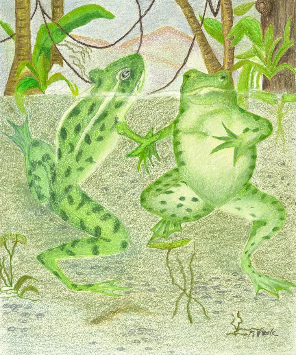 Dancing Frogs