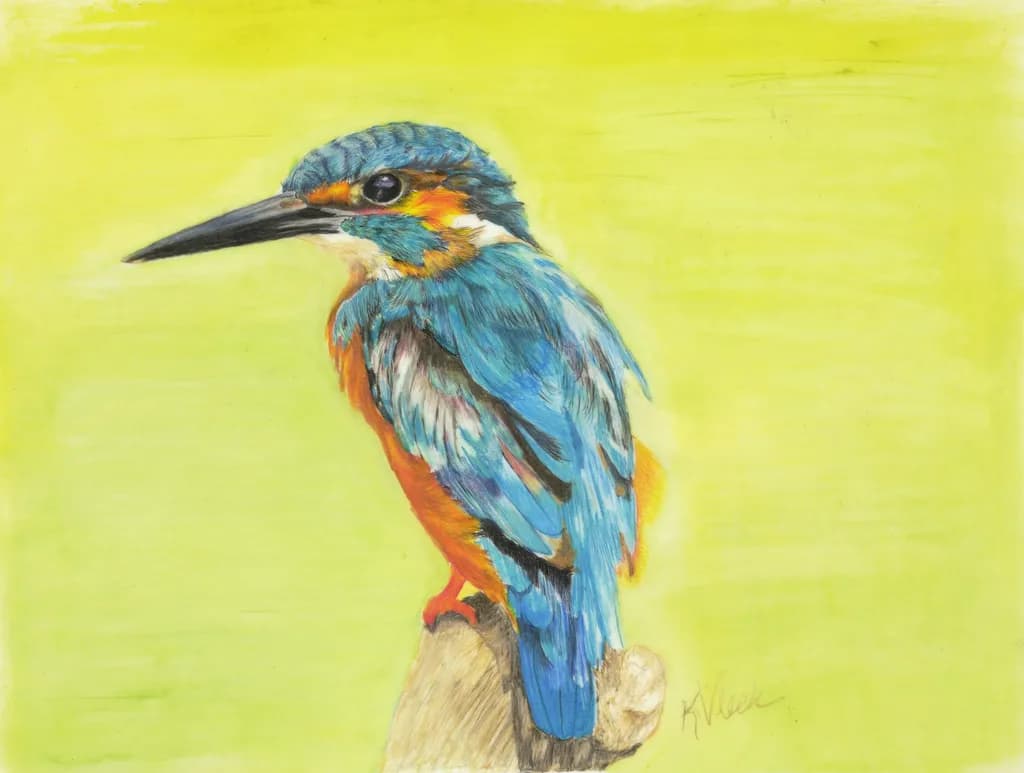 Kingfisher Perch