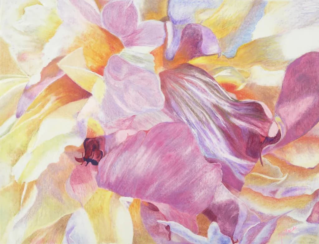 Peonies Bloom