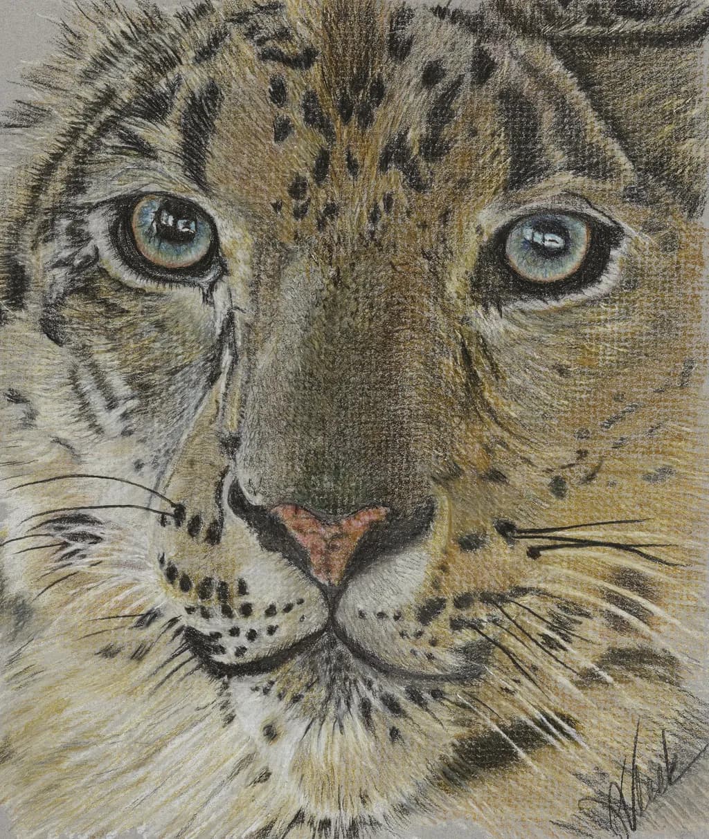 Tiger's Face