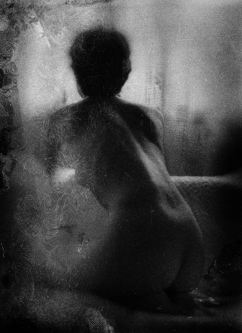Silhouette Study