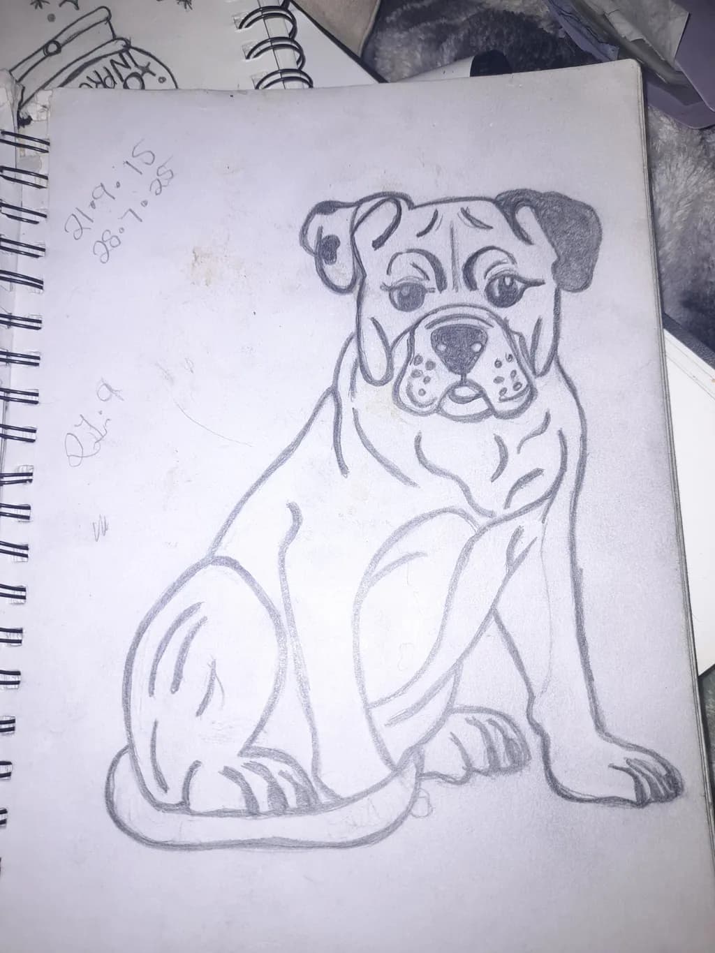 Wary Bulldog Stance