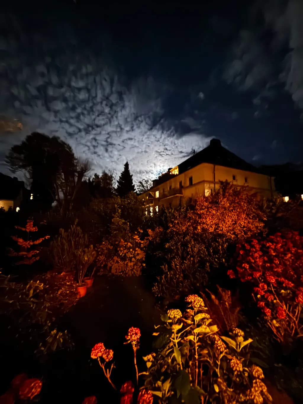 Nocturnal Garden Glow