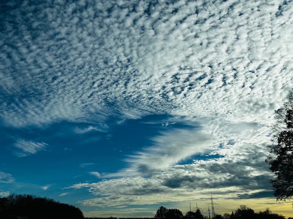Textured Sky Dance