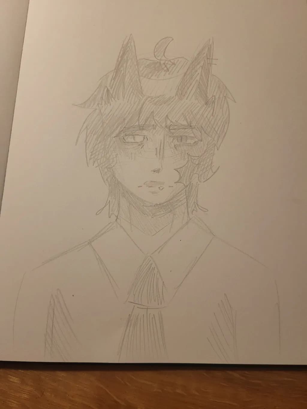 Feline Gaze