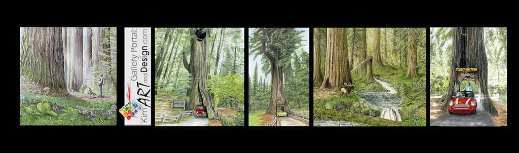 Red Car Through the Forest