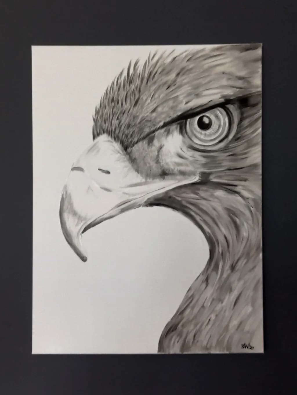 Eagle's Gaze