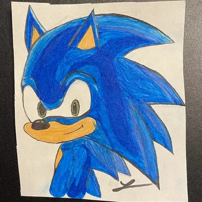 Sped through Sonic
