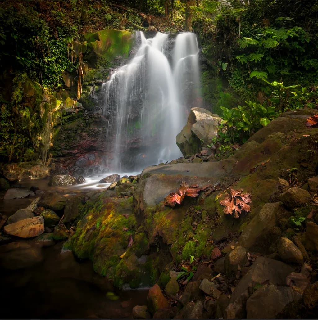 Waterfall Serenity