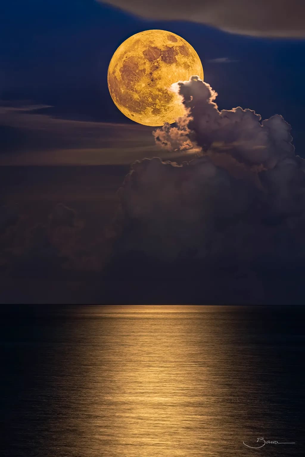Golden Moonrise