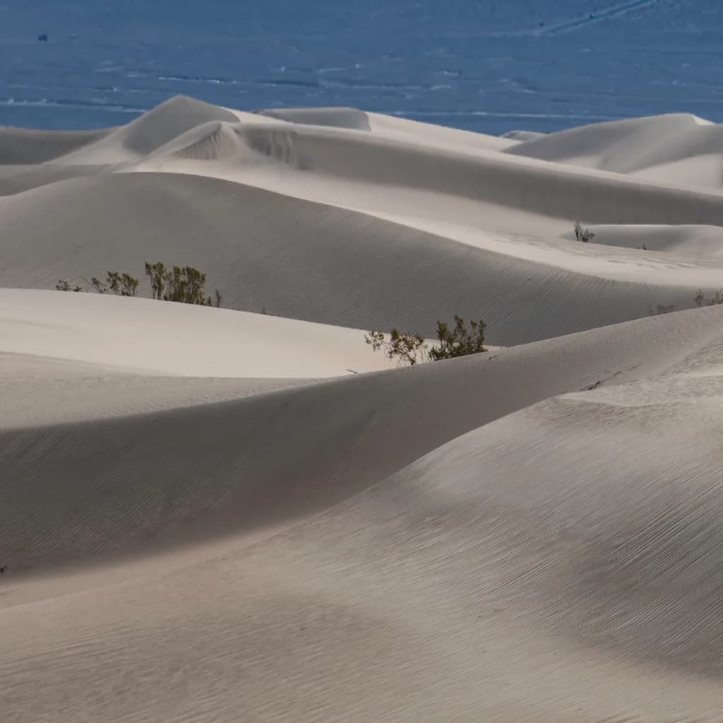 Mesquite Dunes