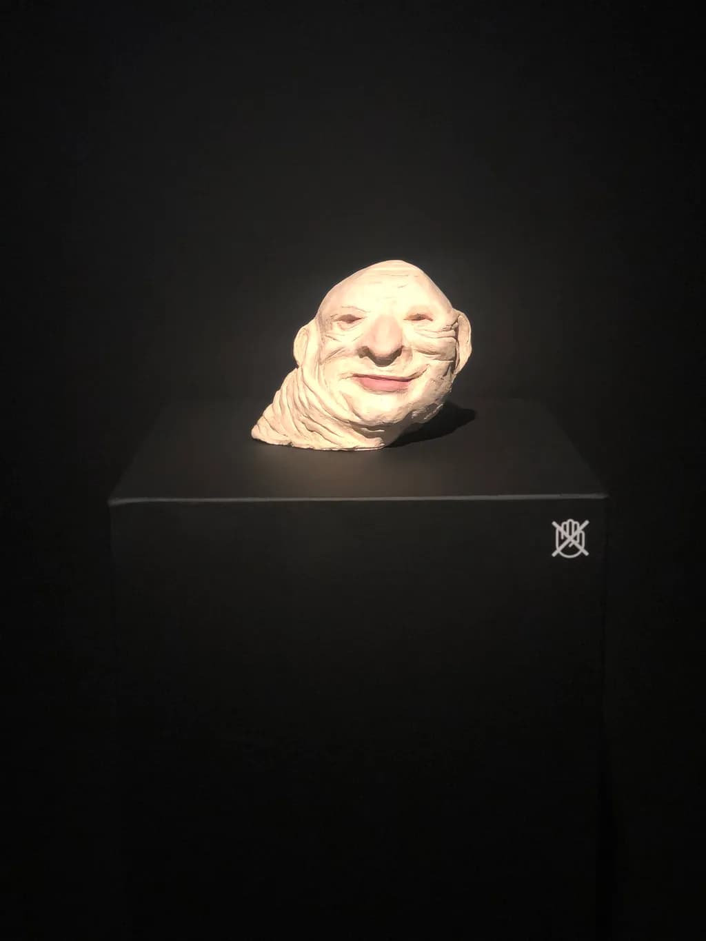 Playful Visage