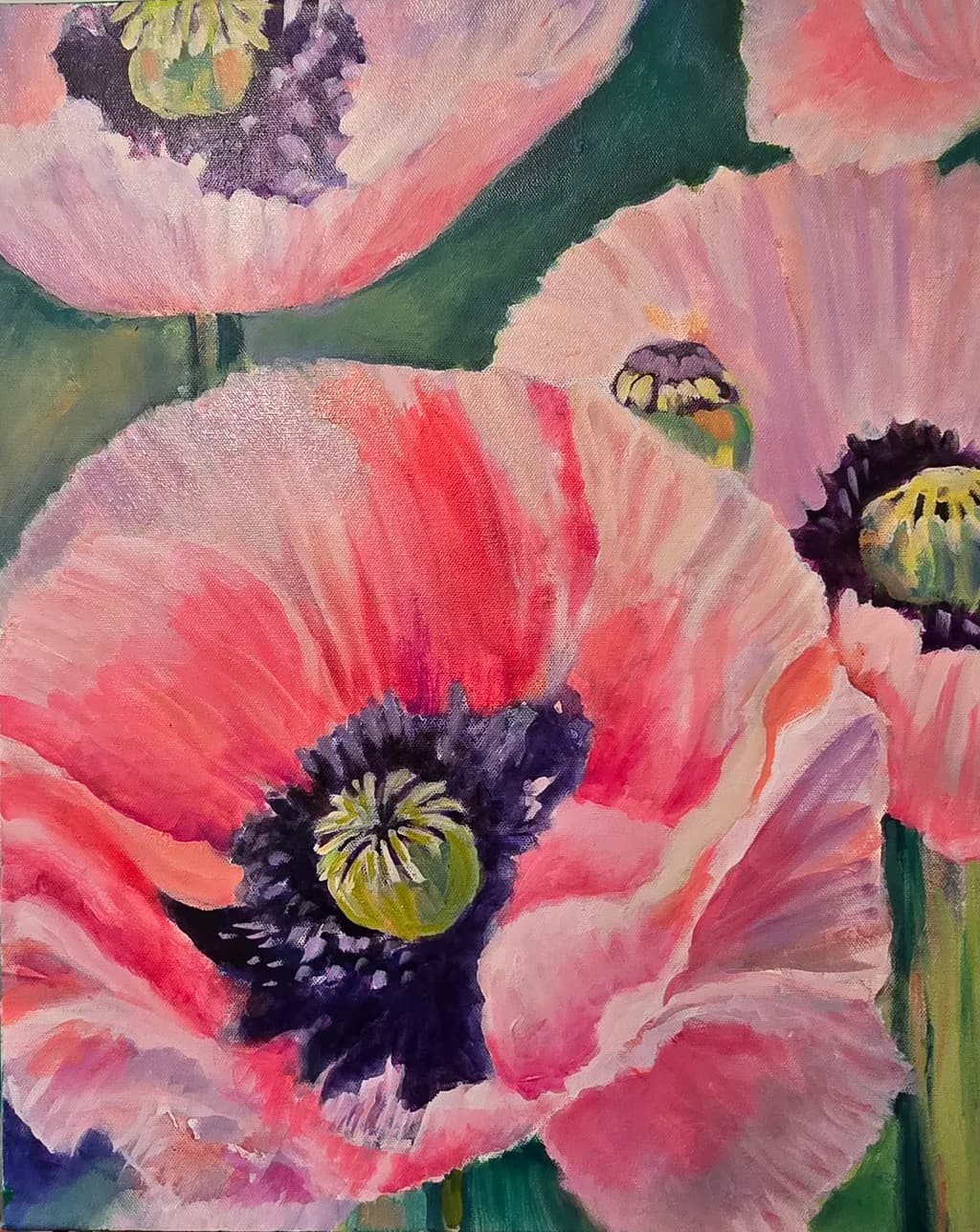 Blushing Poppies