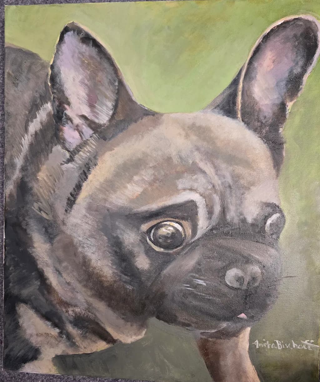 Contemplative Frenchie
