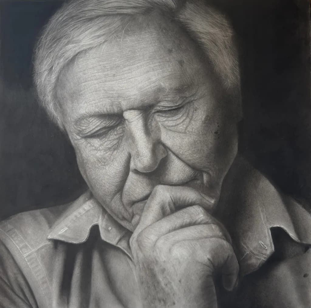David Portrait