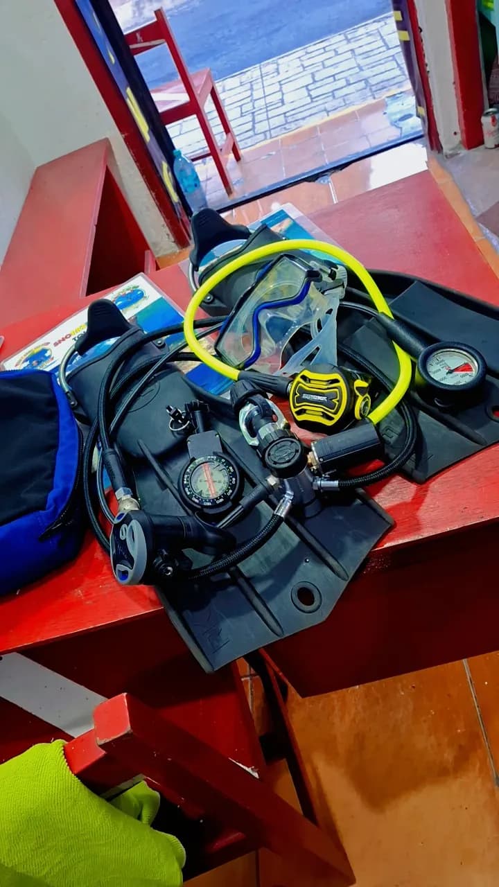 Diving Gear Essentials