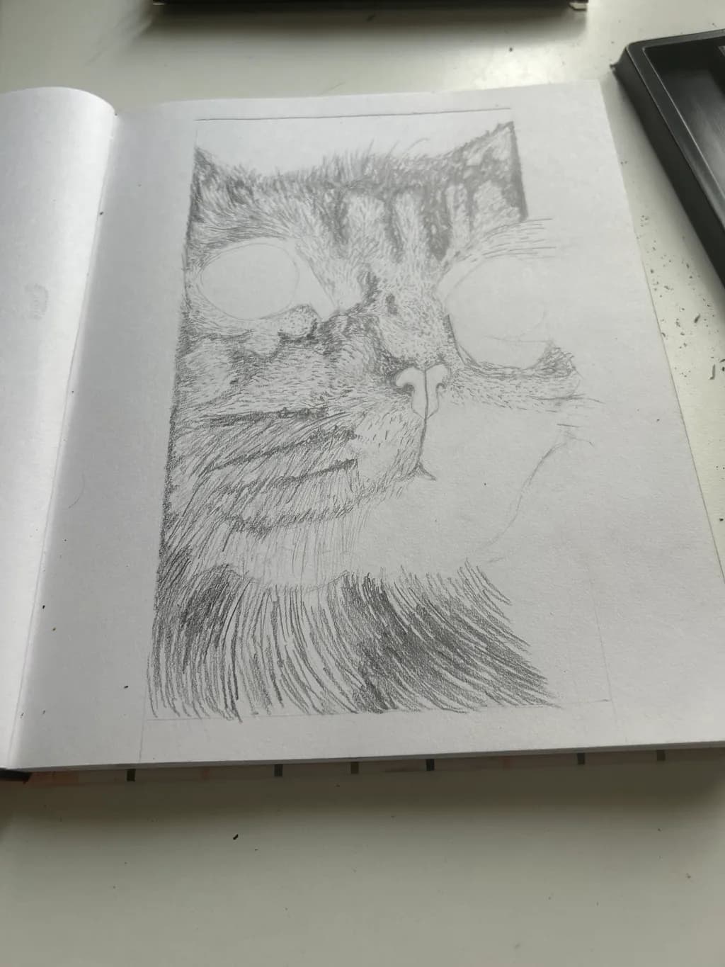 Feline Outline