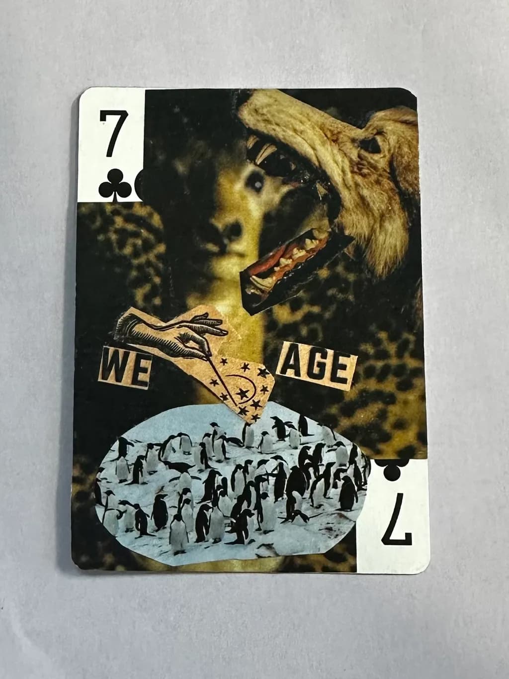 Seven of Clubs Penguins