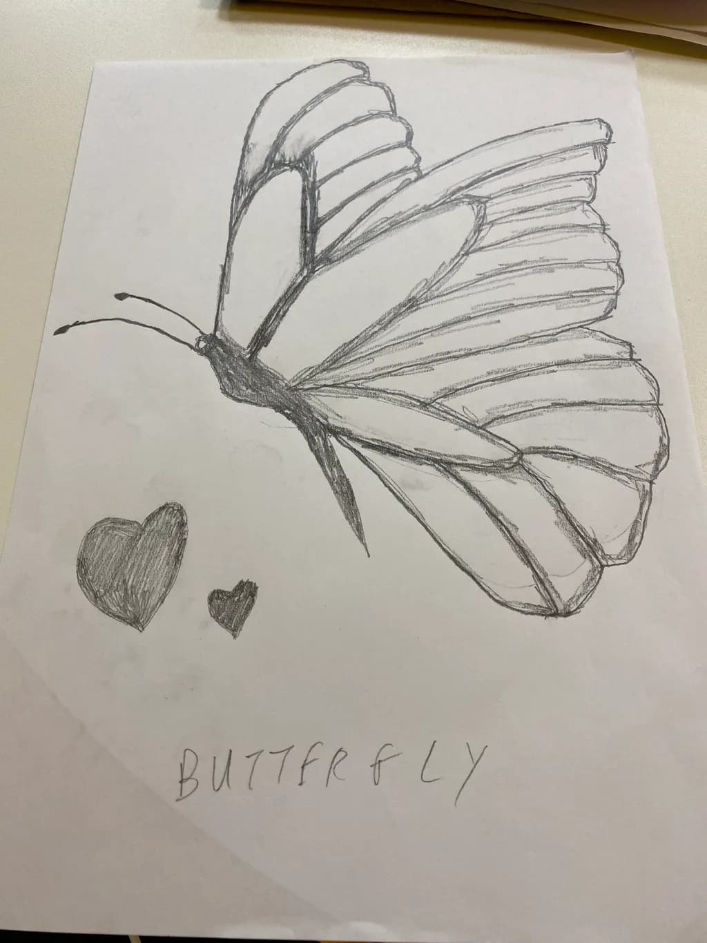 Butterfly Hearts
