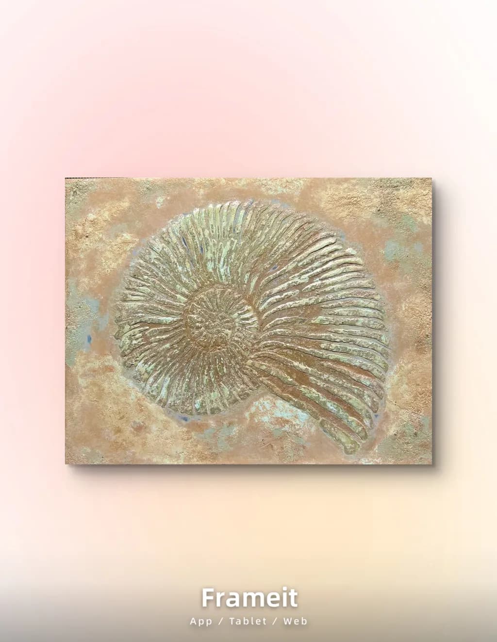 Ammonite Fossil